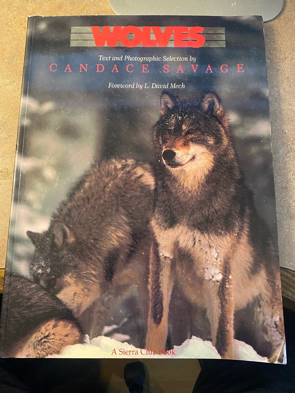 Wolves Photography Book by Candace Savage